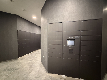 �_�ސ쌧���s������V�ێq��3-1100-12�̒��Ã}���V�����̉摜