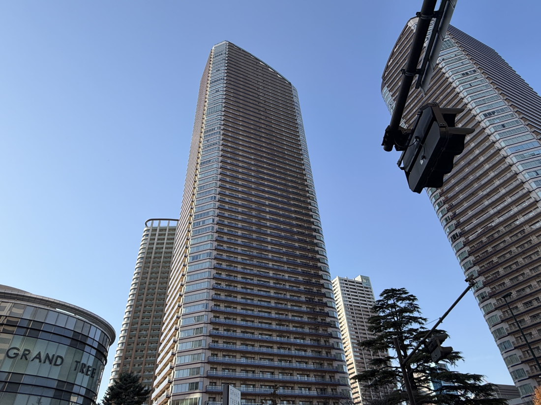 �_�ސ쌧���s������V�ێq��3-1100-12�̒��Ã}���V�����̉摜