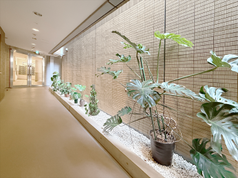 �����s�ڍ��撆�ڍ�1-1-5�̒��Ã}���V�����̉摜