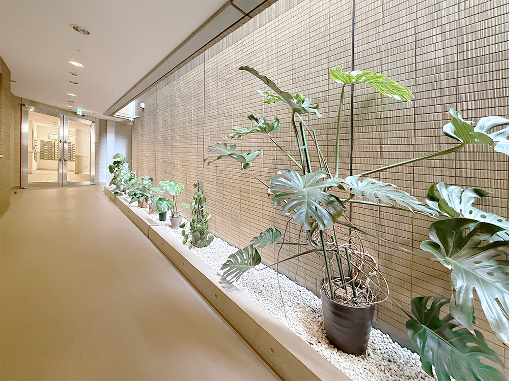 �����s�ڍ��撆�ڍ�1-1-5�̒��Ã}���V�����̉摜