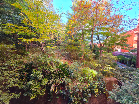 �����s�`�捂��4-24-55�̒��Ã}���V�����̉摜