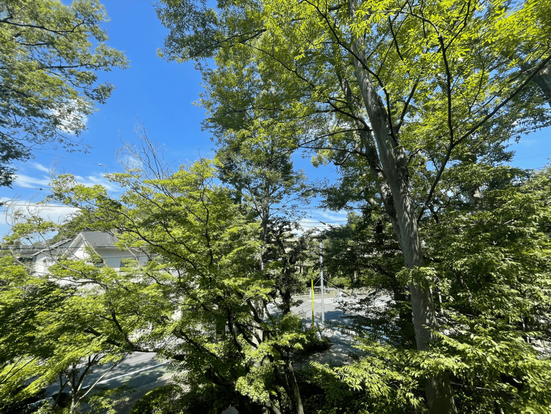 �����s���c�J��ʐ�4-39-2�̒��Ã}���V�����̉摜