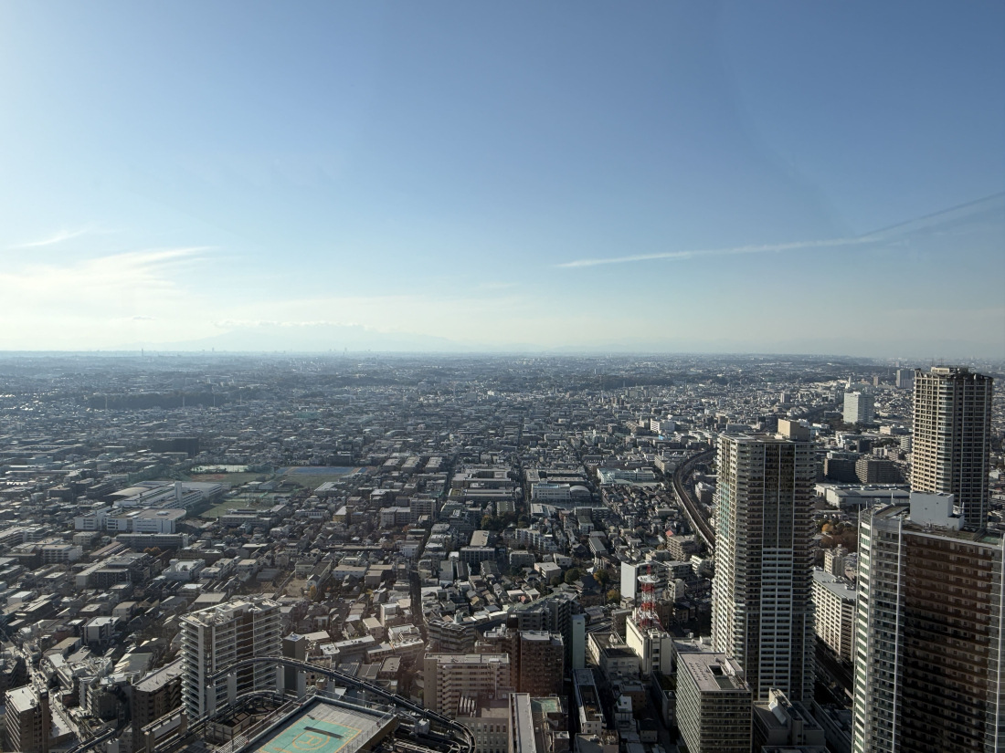 �_�ސ쌧���s������V�ێq��3-1100-12�̒��Ã}���V�����̉摜