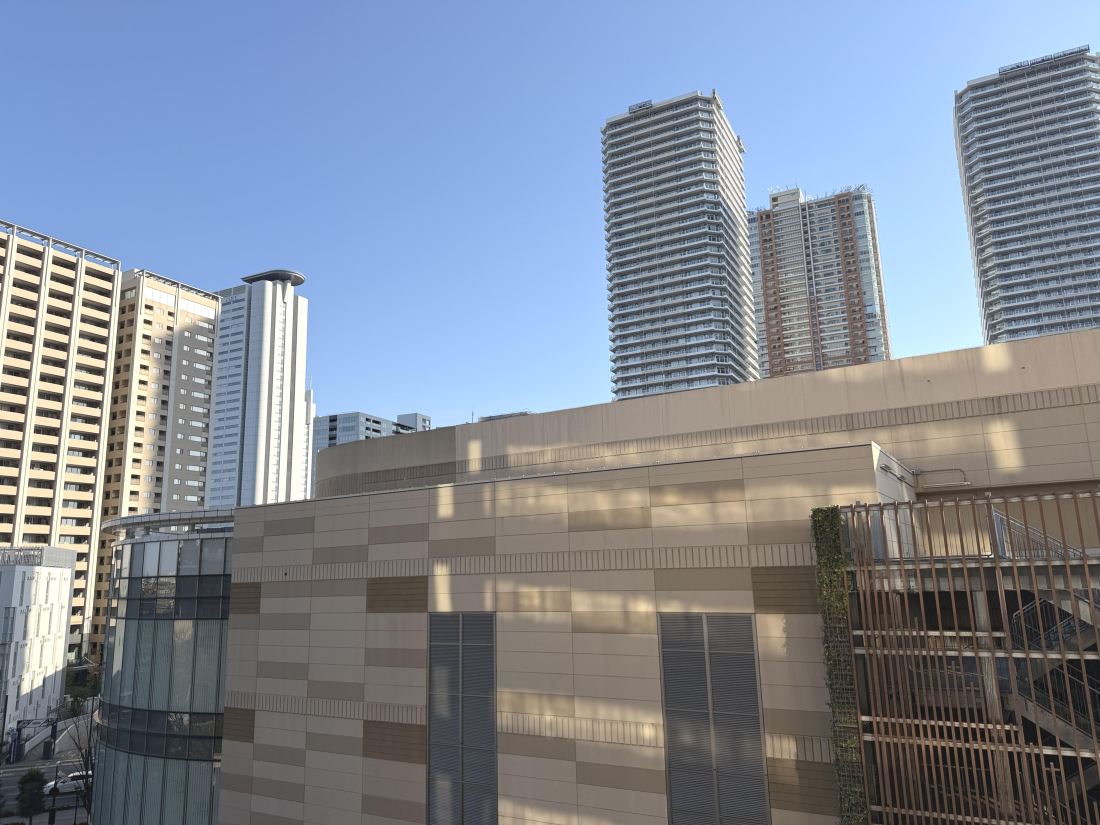 �_�ސ쌧���s������V�ێq��3-1100-12�̒��Ã}���V�����̉摜