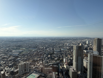 �_�ސ쌧���s������V�ێq��3-1100-12�̒��Ã}���V�����̉摜