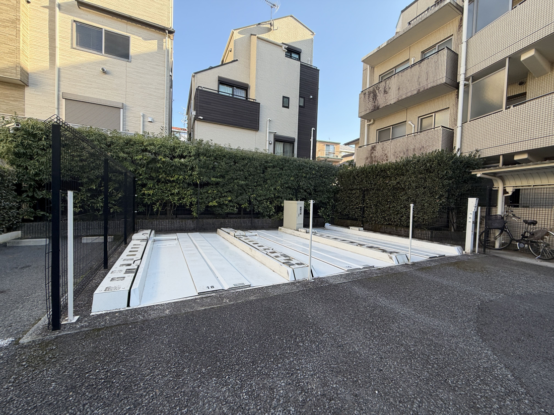 �����s�V�h���|��5-1�̒��Ã}���V�����̉摜