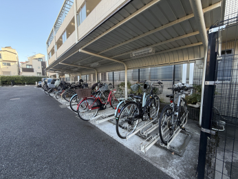 �����s�V�h���|��5-1�̒��Ã}���V�����̉摜