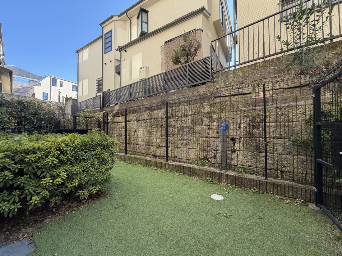 �����s�V�h���|��5-1�̒��Ã}���V�����̉摜