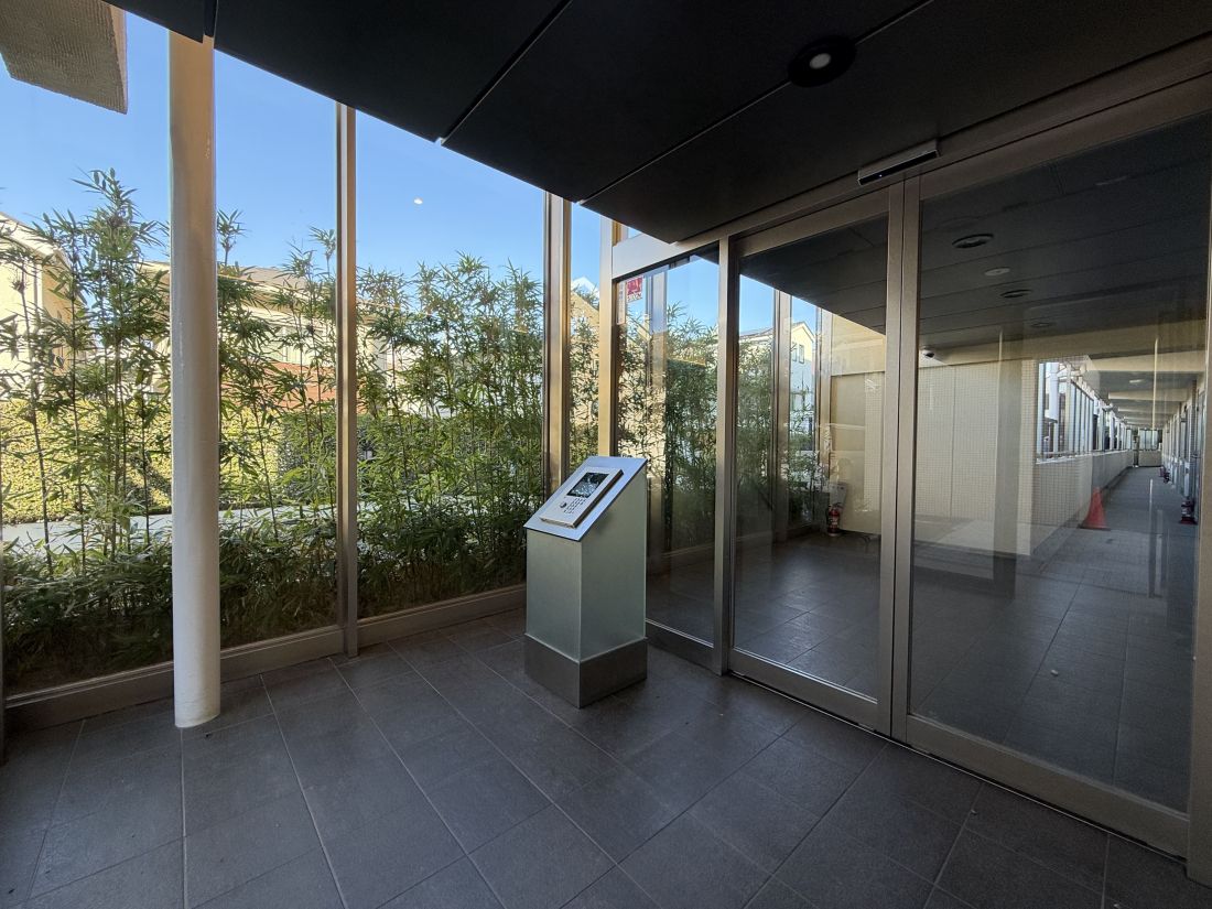 �����s�V�h���|��5-1�̒��Ã}���V�����̉摜