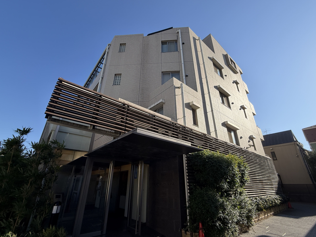 �����s�V�h���|��5-1�̒��Ã}���V�����̉摜